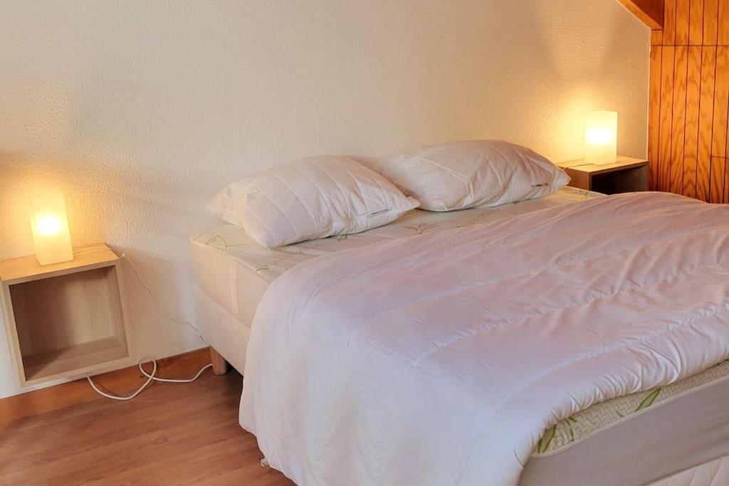 Duplex 4/6P Le Familial Apartment Laveissière Екстериор снимка
